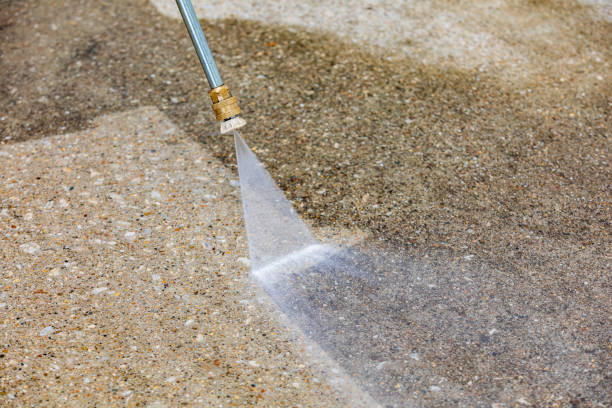Best Soft Washing for Delicate Surfaces in Dahlgren, VA
